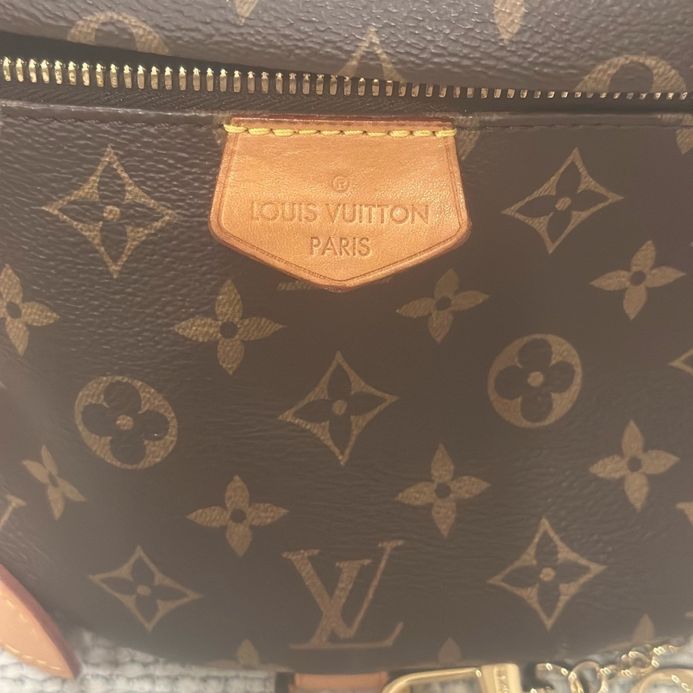 Louis Vuitton Brown Monogram Bum Bag - Picture 3 of 13